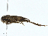  ( - BIOUG97763-H11)  @11 [ ] CreativeCommons - Attribution (2023) CBG Photography Group Centre for Biodiversity Genomics