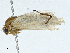  ( - BIOUG97764-G01)  @11 [ ] CreativeCommons - Attribution (2023) CBG Photography Group Centre for Biodiversity Genomics