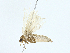  ( - BIOUG97764-H04)  @11 [ ] CreativeCommons - Attribution (2023) CBG Photography Group Centre for Biodiversity Genomics