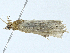  ( - BIOUG97765-G12)  @11 [ ] CreativeCommons - Attribution (2023) CBG Photography Group Centre for Biodiversity Genomics
