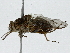  ( - BIOUG91299-E08)  @11 [ ] CreativeCommons - Attribution (2022) CBG Photography Group Centre for Biodiversity Genomics