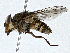  ( - BIOUG91343-F10)  @11 [ ] CreativeCommons - Attribution (2022) CBG Photography Group Centre for Biodiversity Genomics