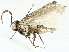  ( - BIOUG91344-F02)  @11 [ ] CreativeCommons - Attribution (2022) CBG Photography Group Centre for Biodiversity Genomics