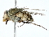 ( - BIOUG95348-A06)  @11 [ ] CreativeCommons - Attribution (2022) CBG Photography Group Centre for Biodiversity Genomics