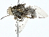  ( - BIOUG95348-C07)  @11 [ ] CreativeCommons - Attribution (2022) CBG Photography Group Centre for Biodiversity Genomics