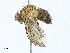  ( - BIOUG98712-C09)  @11 [ ] CreativeCommons - Attribution (2023) CBG Photography Group Centre for Biodiversity Genomics