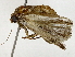  ( - BIOUG91298-H02)  @11 [ ] CreativeCommons - Attribution (2022) CBG Photography Group Centre for Biodiversity Genomics