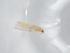  (Diarthrothrips coffeae - BIOUG92401-H08)  @11 [ ] CreativeCommons - Attribution (2023) Centre for Biodiversity Genomics Centre for Biodiversity Genomics