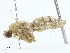 ( - CBG-A00306-A04)  @11 [ ] CreativeCommons - Attribution (2023) CBG Photography Group Centre for Biodiversity Genomics