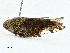  ( - CBG-A00306-B02)  @11 [ ] CreativeCommons - Attribution (2023) CBG Photography Group Centre for Biodiversity Genomics