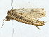  ( - CBG-A00306-H11)  @11 [ ] CreativeCommons - Attribution (2023) CBG Photography Group Centre for Biodiversity Genomics
