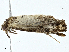  ( - CBG-A00307-A10)  @11 [ ] CreativeCommons - Attribution (2023) CBG Photography Group Centre for Biodiversity Genomics