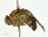  ( - CBG-A00307-C01)  @11 [ ] CreativeCommons - Attribution (2023) CBG Photography Group Centre for Biodiversity Genomics