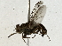  ( - BIOUG91341-C01)  @11 [ ] CreativeCommons - Attribution (2022) CBG Photography Group Centre for Biodiversity Genomics