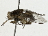  ( - BIOUG91341-C02)  @11 [ ] CreativeCommons - Attribution (2022) CBG Photography Group Centre for Biodiversity Genomics