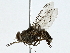 ( - BIOUG91341-F06)  @11 [ ] CreativeCommons - Attribution (2022) CBG Photography Group Centre for Biodiversity Genomics
