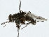  ( - BIOUG91341-F08)  @11 [ ] CreativeCommons - Attribution (2022) CBG Photography Group Centre for Biodiversity Genomics