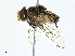  ( - BIOUG97767-B02)  @11 [ ] CreativeCommons - Attribution (2023) CBG Photography Group Centre for Biodiversity Genomics