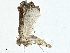  ( - CBG-A00258-H01)  @11 [ ] CreativeCommons - Attribution (2023) CBG Photography Group Centre for Biodiversity Genomics