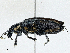  ( - CBG-A00259-G02)  @11 [ ] CreativeCommons - Attribution (2023) CBG Photography Group Centre for Biodiversity Genomics