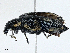  ( - CBG-A00259-G04)  @11 [ ] CreativeCommons - Attribution (2023) CBG Photography Group Centre for Biodiversity Genomics