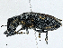  ( - CBG-A00259-G05)  @11 [ ] CreativeCommons - Attribution (2023) CBG Photography Group Centre for Biodiversity Genomics