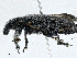  ( - CBG-A00259-G06)  @11 [ ] CreativeCommons - Attribution (2023) CBG Photography Group Centre for Biodiversity Genomics