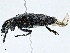  ( - CBG-A00259-G07)  @11 [ ] CreativeCommons - Attribution (2023) CBG Photography Group Centre for Biodiversity Genomics