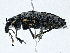  ( - CBG-A00259-G09)  @11 [ ] CreativeCommons - Attribution (2023) CBG Photography Group Centre for Biodiversity Genomics