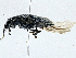  ( - CBG-A00259-G11)  @11 [ ] CreativeCommons - Attribution (2023) CBG Photography Group Centre for Biodiversity Genomics