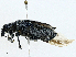  ( - CBG-A00260-A03)  @11 [ ] CreativeCommons - Attribution (2023) CBG Photography Group Centre for Biodiversity Genomics