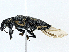  ( - CBG-A00260-A04)  @11 [ ] CreativeCommons - Attribution (2023) CBG Photography Group Centre for Biodiversity Genomics