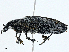  ( - CBG-A00260-A05)  @11 [ ] CreativeCommons - Attribution (2023) CBG Photography Group Centre for Biodiversity Genomics