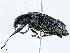  ( - CBG-A00260-A07)  @11 [ ] CreativeCommons - Attribution (2023) CBG Photography Group Centre for Biodiversity Genomics