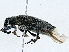  ( - CBG-A00260-A11)  @11 [ ] CreativeCommons - Attribution (2023) CBG Photography Group Centre for Biodiversity Genomics