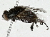  ( - BIOUG91341-H06)  @11 [ ] CreativeCommons - Attribution (2022) CBG Photography Group Centre for Biodiversity Genomics