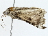  ( - BIOUG91342-B04)  @11 [ ] CreativeCommons - Attribution (2022) CBG Photography Group Centre for Biodiversity Genomics