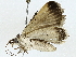  ( - BIOUG91343-B06)  @11 [ ] CreativeCommons - Attribution (2022) CBG Photography Group Centre for Biodiversity Genomics