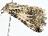  ( - BIOUG95349-B03)  @11 [ ] CreativeCommons - Attribution (2022) CBG Photography Group Centre for Biodiversity Genomics