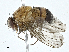  ( - CBG-A00314-C10)  @11 [ ] CreativeCommons - Attribution (2023) CBG Photography Group Centre for Biodiversity Genomics
