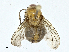  ( - CBG-A00314-H11)  @11 [ ] CreativeCommons - Attribution (2023) CBG Photography Group Centre for Biodiversity Genomics