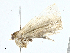  ( - CBG-A00316-C07)  @11 [ ] CreativeCommons - Attribution (2023) CBG Photography Group Centre for Biodiversity Genomics