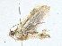  ( - CBG-A00316-G07)  @11 [ ] CreativeCommons - Attribution (2023) CBG Photography Group Centre for Biodiversity Genomics