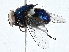  ( - CBG-A00318-F05)  @11 [ ] CreativeCommons - Attribution (2023) CBG Photography Group Centre for Biodiversity Genomics