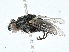  ( - CBG-A00319-H09)  @11 [ ] CreativeCommons - Attribution (2023) CBG Photography Group Centre for Biodiversity Genomics