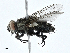  ( - CBG-A00320-A09)  @11 [ ] CreativeCommons - Attribution (2023) CBG Photography Group Centre for Biodiversity Genomics