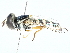  ( - BIOUG89978-B07)  @11 [ ] CreativeCommons - Attribution (2022) CBG Photography Group Centre for Biodiversity Genomics