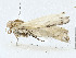  ( - CBG-A00308-D11)  @11 [ ] CreativeCommons - Attribution (2023) CBG Photography Group Centre for Biodiversity Genomics