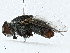  ( - CBG-A00309-A10)  @11 [ ] CreativeCommons - Attribution (2023) CBG Photography Group Centre for Biodiversity Genomics