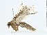  ( - CBG-A00309-D07)  @11 [ ] CreativeCommons - Attribution (2023) CBG Photography Group Centre for Biodiversity Genomics